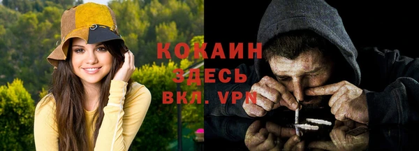 шишки Володарск