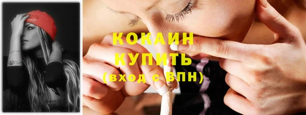 шишки Володарск