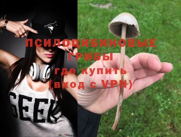 шишки Володарск